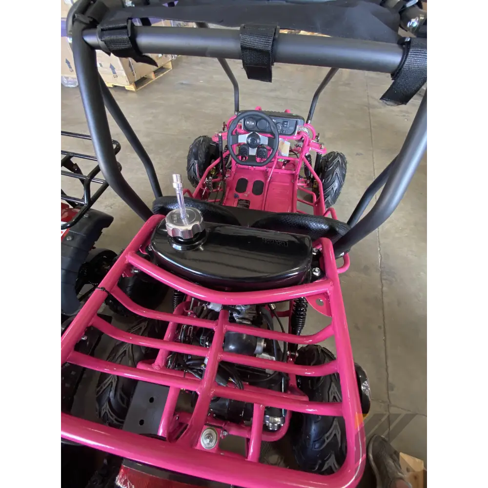 TaoMotor 107cc Kids Go Kart Kryptex Golf Carts