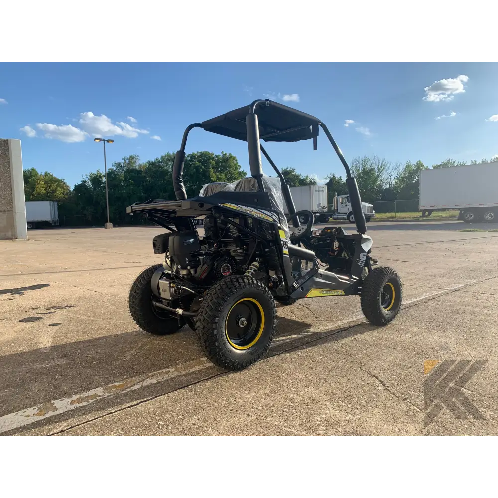 Trailmaster Cheetah 6 Children's Go-Kart Buggy, 4-Stroke 163cc Kryptex Golf Carts