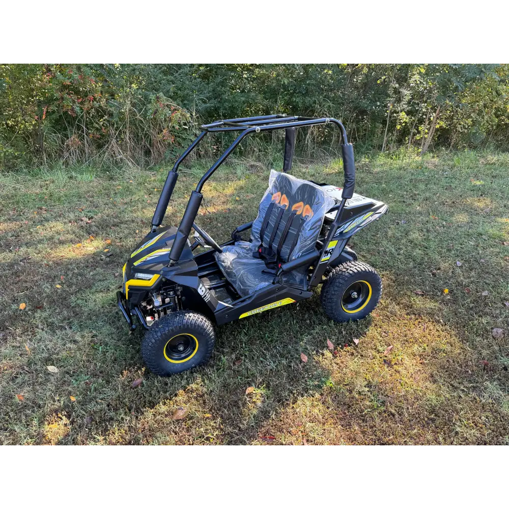 Trailmaster Cheetah 6 Children's Go-Kart Buggy, 4-Stroke 163cc Kryptex Golf Carts