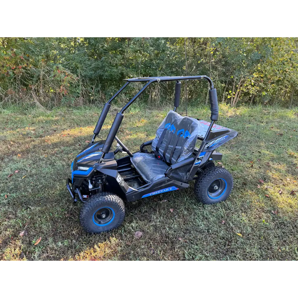 Trailmaster Cheetah i6 Children's Go-Kart Buggy, Electric Motor Kryptex Golf Carts