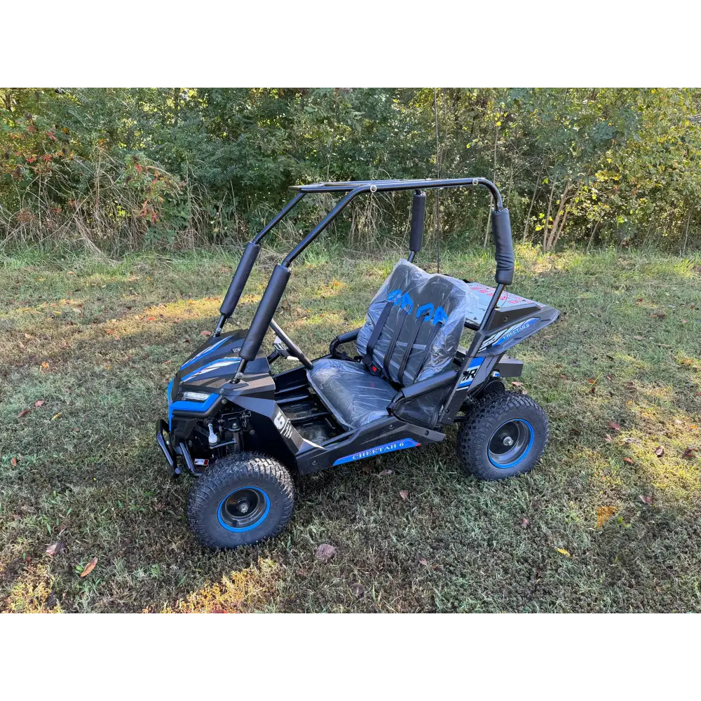 Trailmaster Cheetah i6 Children's Go-Kart Buggy, Electric Motor Kryptex Golf Carts