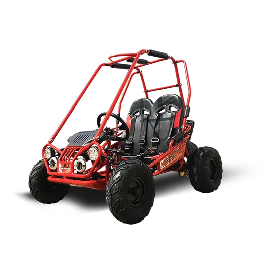 Trailmaster Mini XRX+ Children's Go-Kart Buggy, 4-Stroke 163cc Kryptex Golf Carts