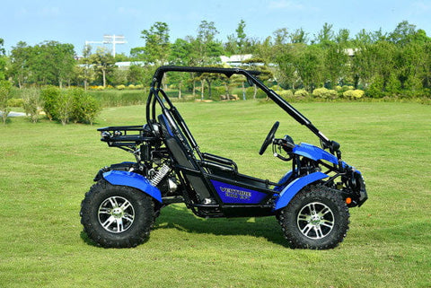 Linhai Venture 200 EFI Adult Go Kart Buggy