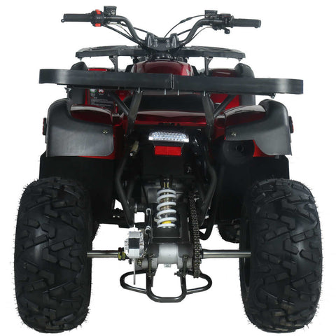 Pentora 250 Utility Adult ATV
