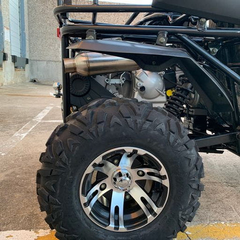 Buggy kart Trailmaster Cheetah 300EX EFI pour adulte